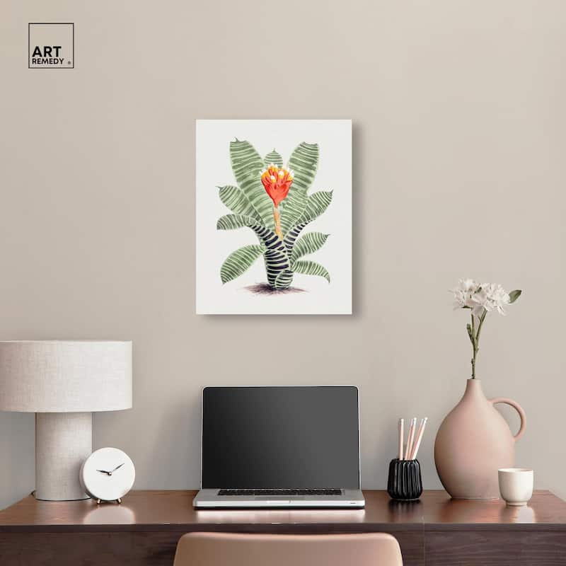Tillandsia Musaica Plant Canvas by Art Remedy, Gallery Wrapped