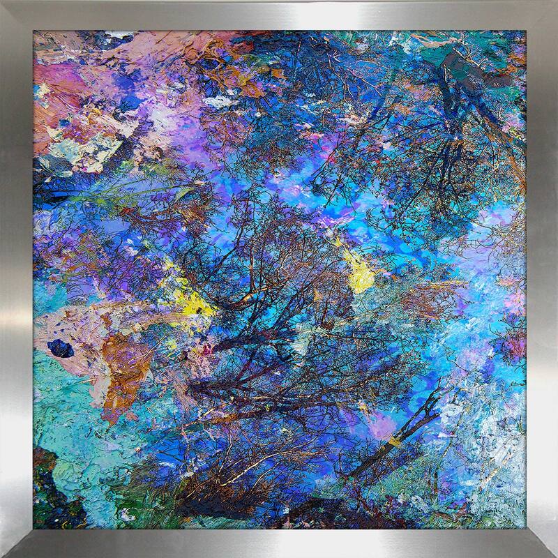 "Dreaming up to the Trees" by Michael Broom I Print on Acrylic