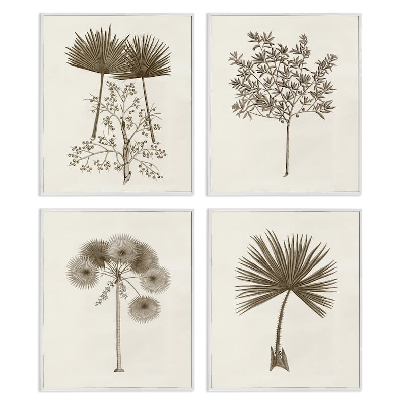 Stupell Various Vintage Palm Leaves Framed Giclee Art Design By Phillipa Katz (Set of 4) - 16 x 20 - White