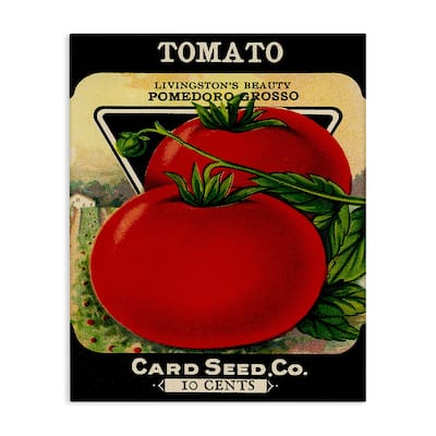 Stupell Vintage Garden Tomato Canvas Wall Art Design By Lil' Rue