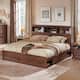 Option Brown