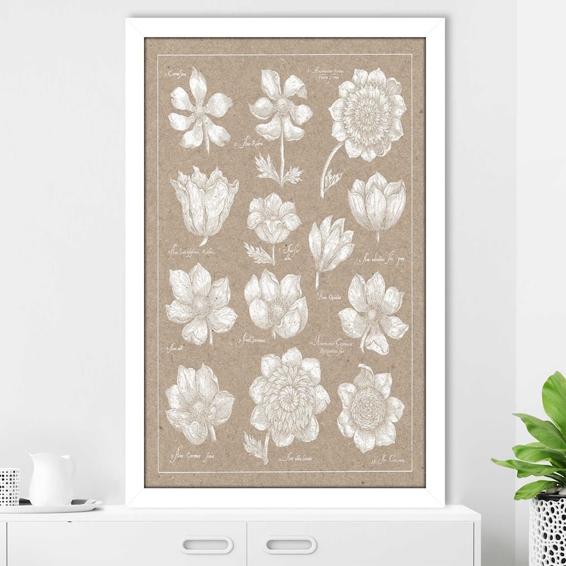 "Anemone Plate I" Print on Acrylic