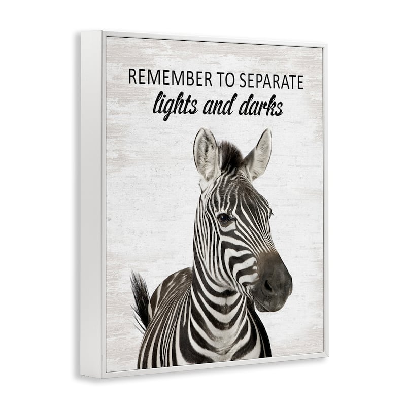 Stupell Remember To Separate Laundry Framed Giclee Art Design By Lettered and Lined
