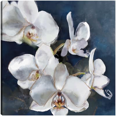 Orchid on Navy By Studio Arts Canvas Art Print