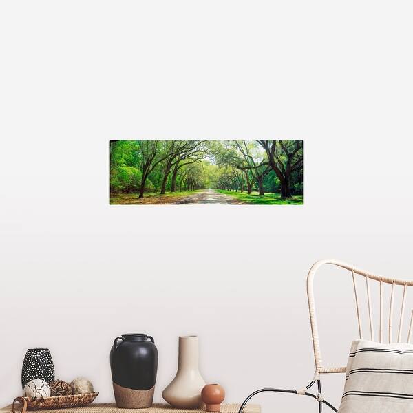Live Oaks And Spanish Moss Wormsloe State Historic Site Savannah Ga Poster Print Overstock 16872207