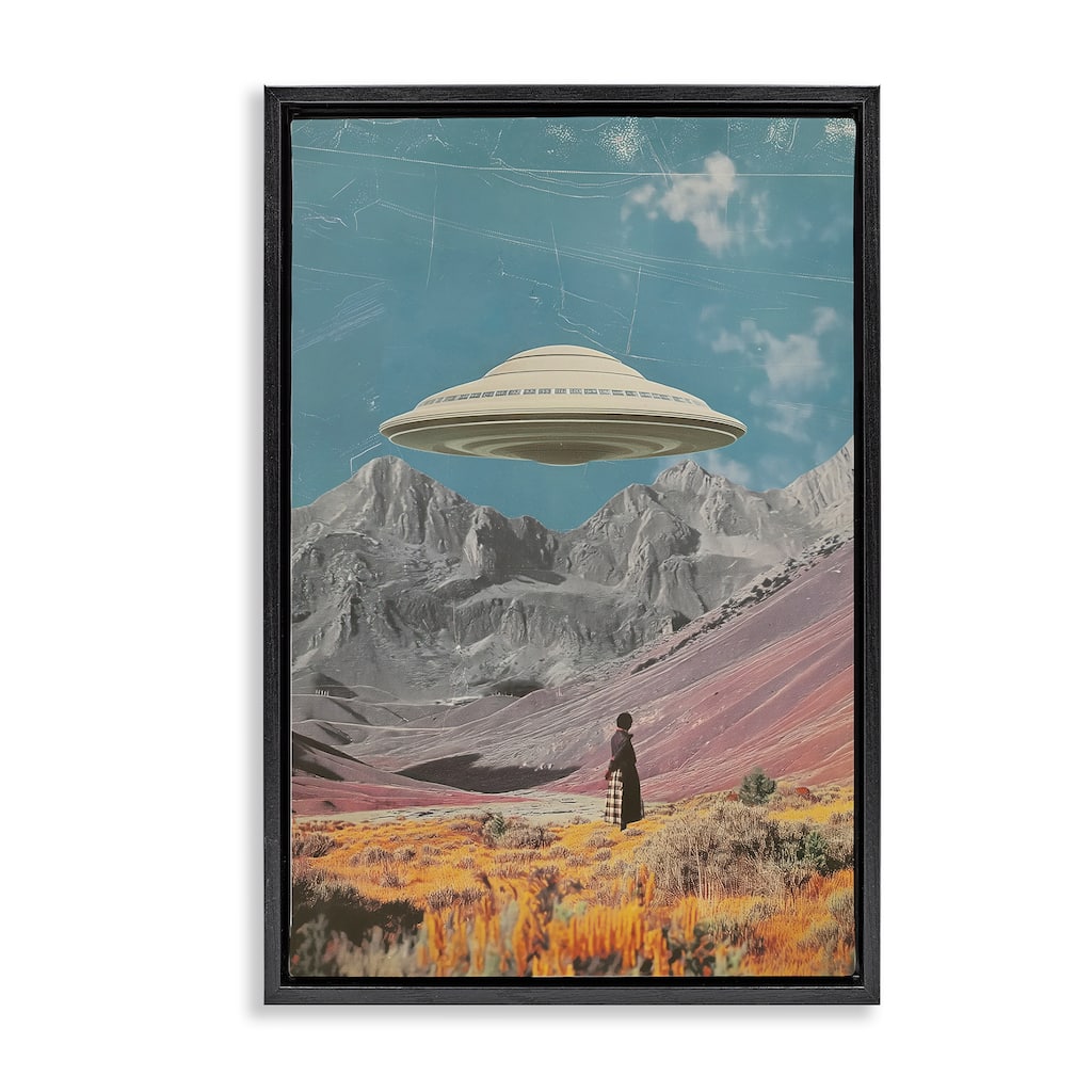 Stupell UFO over Mountain Valley Framed Floater Canvas Wall Art Design By Wumples