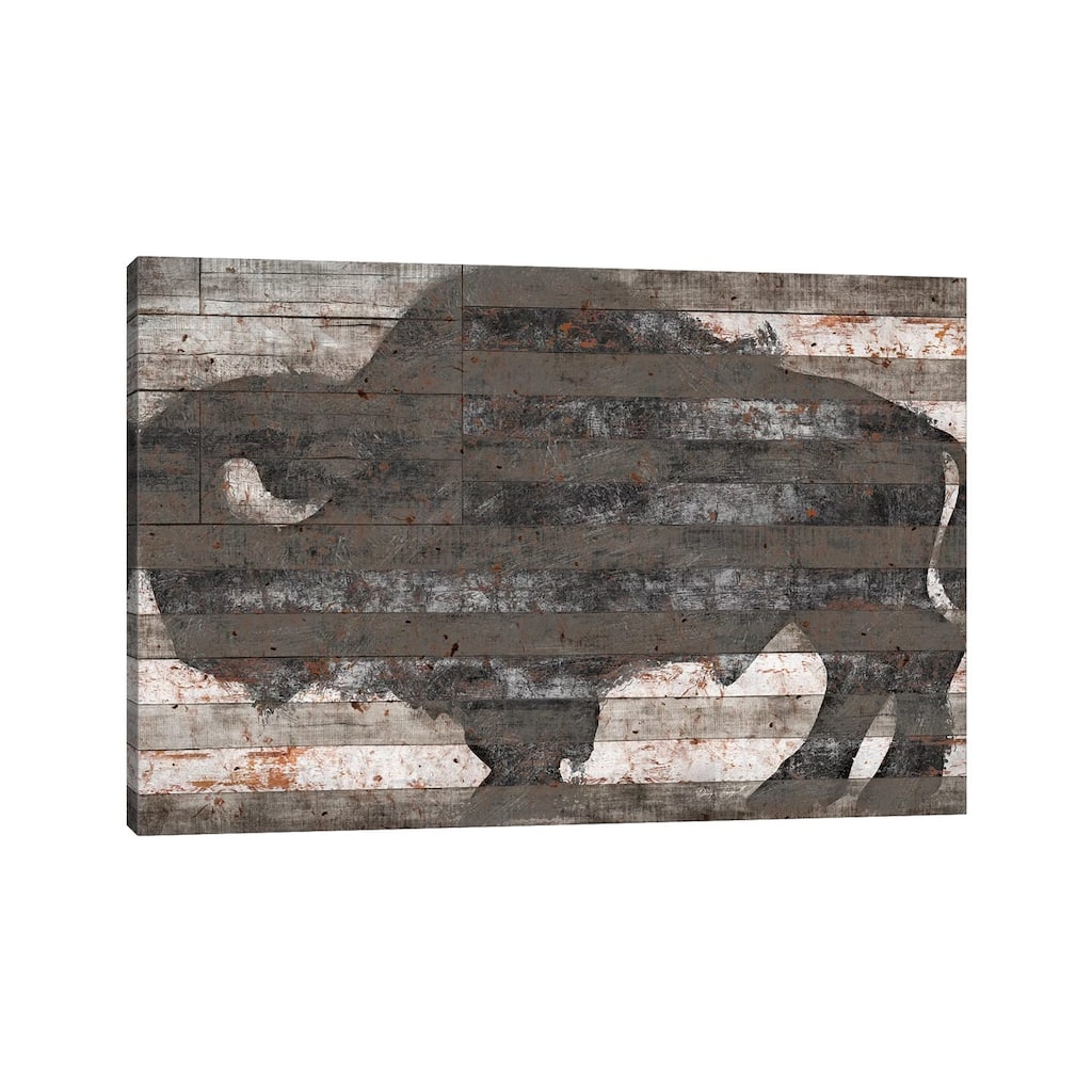 iCanvas "Buffalo II" by Diego Tirigall Canvas Print