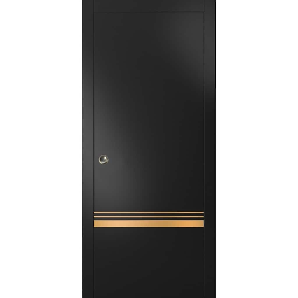 French Pocket Door 18x80 with Planum 2010 Matte Black with Kit Trims Rail