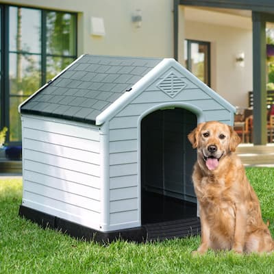 Moasis Plastic Dog House