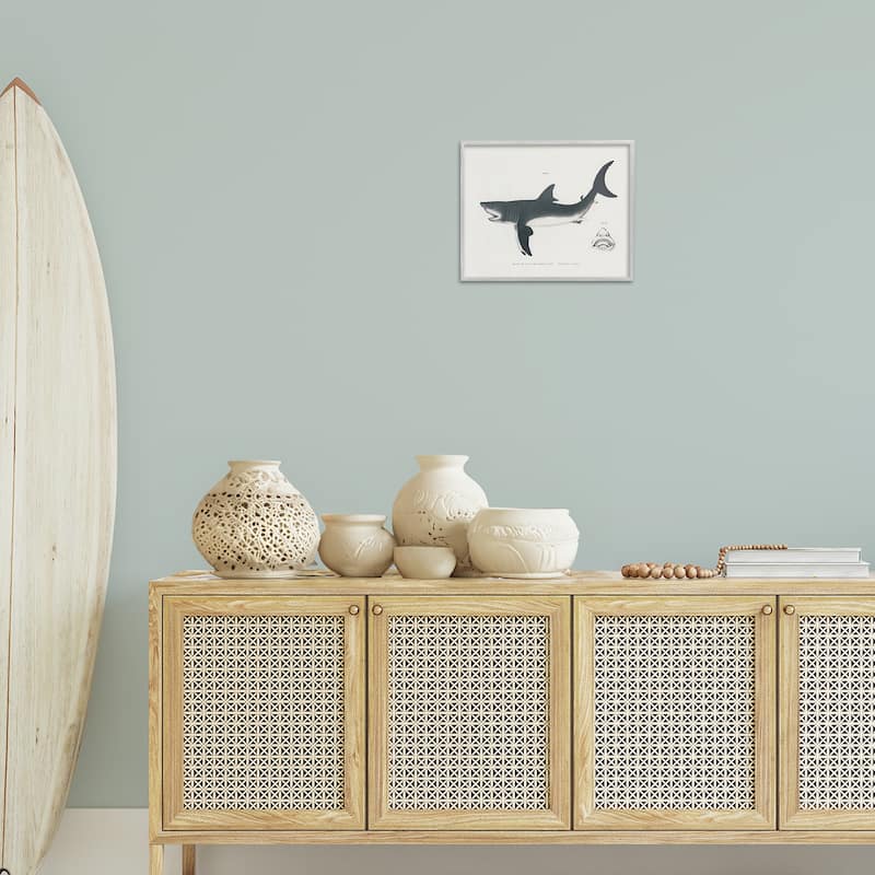 Stupell Detailed Shark Diagram Framed Giclee Art Design By Phillipa Katz