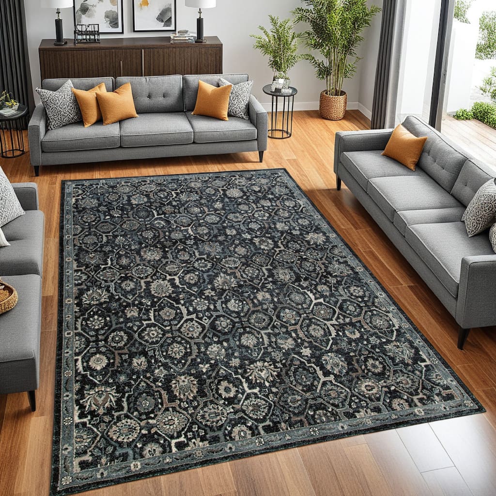 Hiy 8 x 11 Large Area Rug, Persian Inspired Floral Motif, Black Gray - 8 x 11
