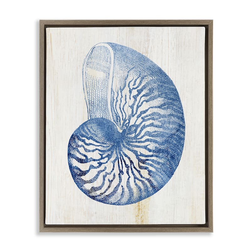 Stupell Blue Nautilus Shell Framed Floater Canvas Wall Art Design By Susan Arnot - 17 x 21 - Brown