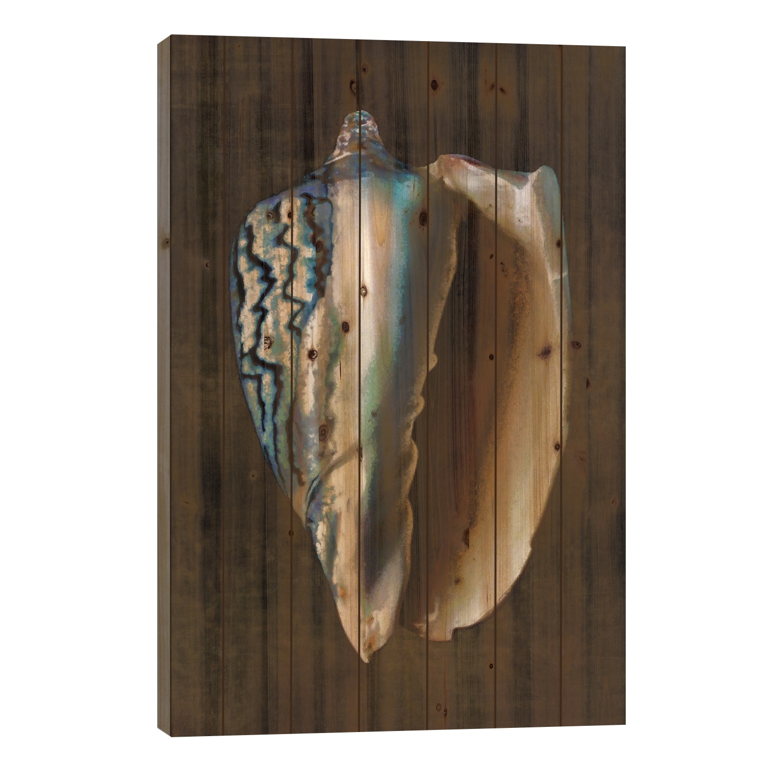 Ocean Treasure I Print On Wood by Caroline Kelly - Multi-Color