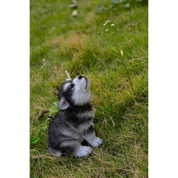 Mini discount alaskan malamute