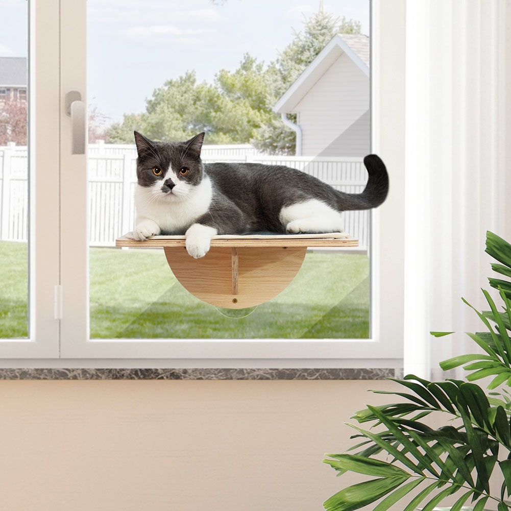 Bed bath and cheap beyond cat perch