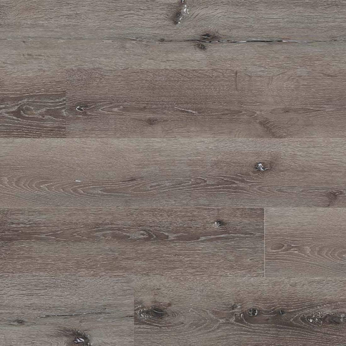 Option Eastern Ash