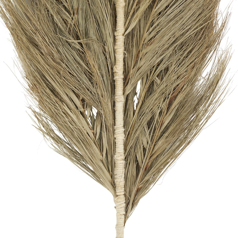 Dried Plant Palm Leaf Tall Home Decor Natural Foliage with Grass - Brown - Roche River Decor
