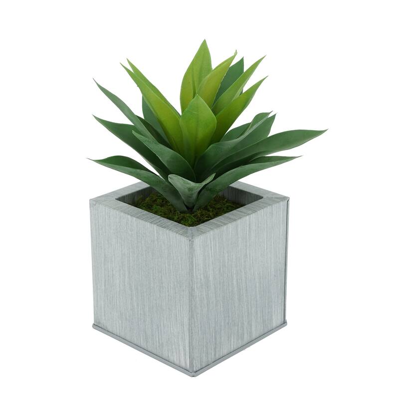 Faux Frosted Light Green Succulent in Square Zinc Planter - Farmhouse