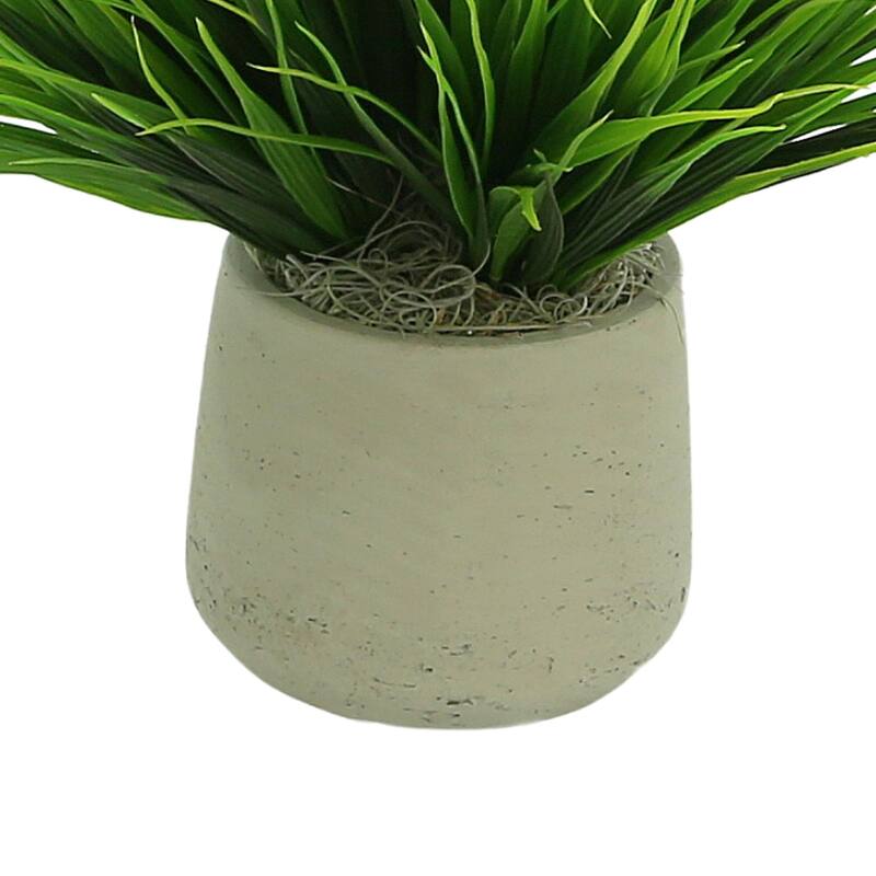 Vanilla Grass Arranged in a Fiberstone Pot - Green
