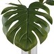 preview thumbnail 3 of 2, Uttermost Ibero Split Leaf Palm