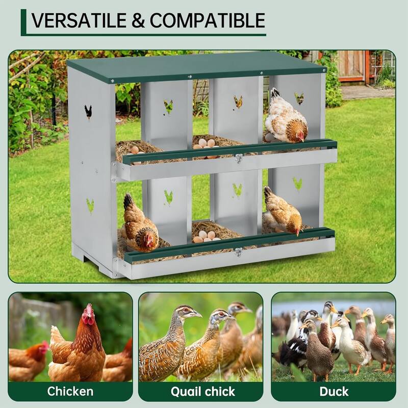 Wall-Mount or Free-Standing Metal Chicken Nesting Box for Backyard Coops, Green