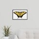 Western Tiger Swallowtail Butterfly Black Float Frame Canvas Art