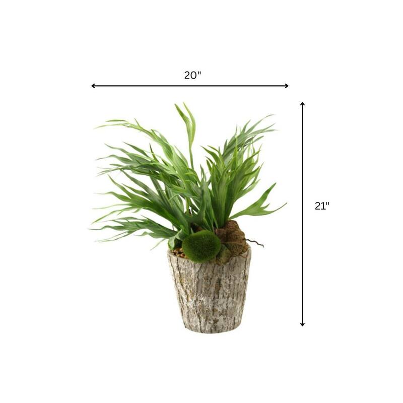 HomeStock Mini Staghorn Fern in Weathered Oak Look Cement Planter - Unique Faux Fern for Natural Vibes - 21