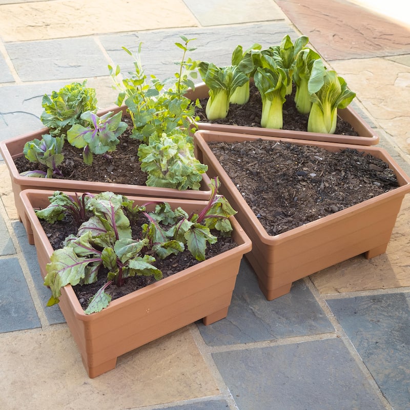 20 in. Plastic Modular Planters (Set of 4)