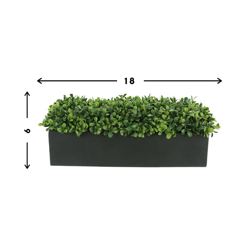 UV Rated Outdoor Boxwoods Arranged in a Rectangular Planter - Green