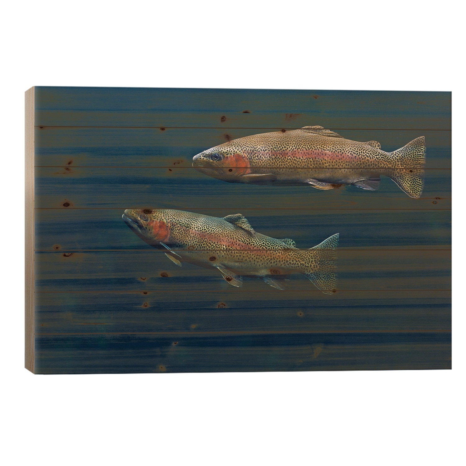 Rainbow Trout Pair Swimming Underwater Print On Wood by Tim Fitzharris - Multi-Color