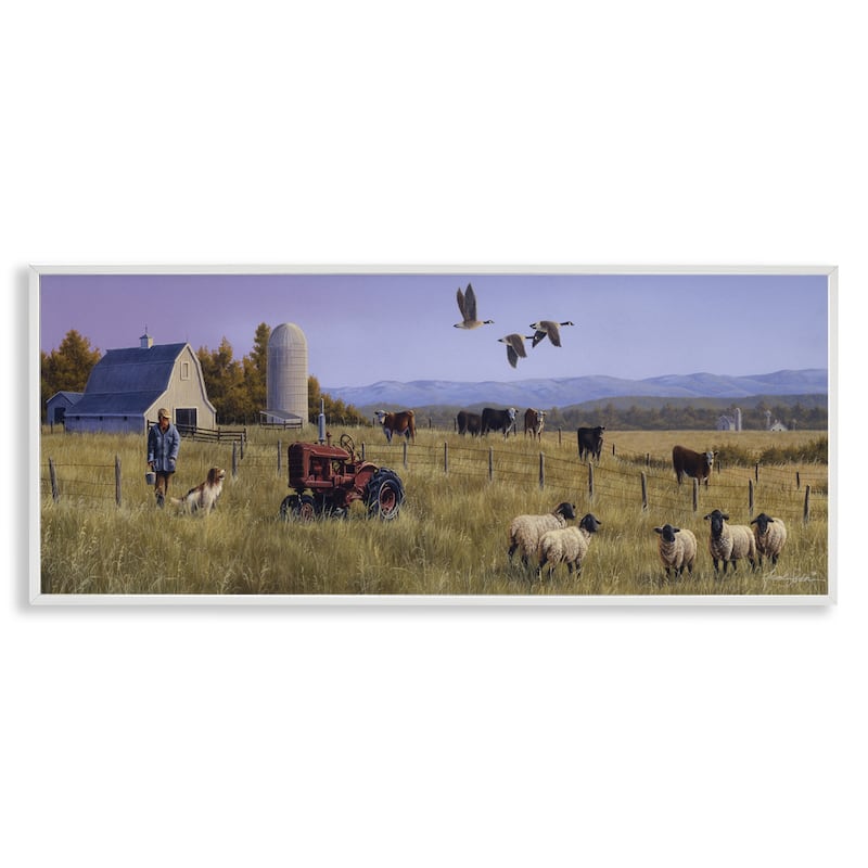 Stupell Geese Over Lush Farm Scene Framed Giclee Art Design By Frank Parker (Young) - 24 x 10 - White