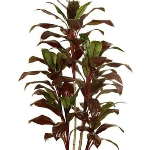 NorthLight 59.75 in. Decorative Potted Artificial Brown Red & Green Dracaena Plant