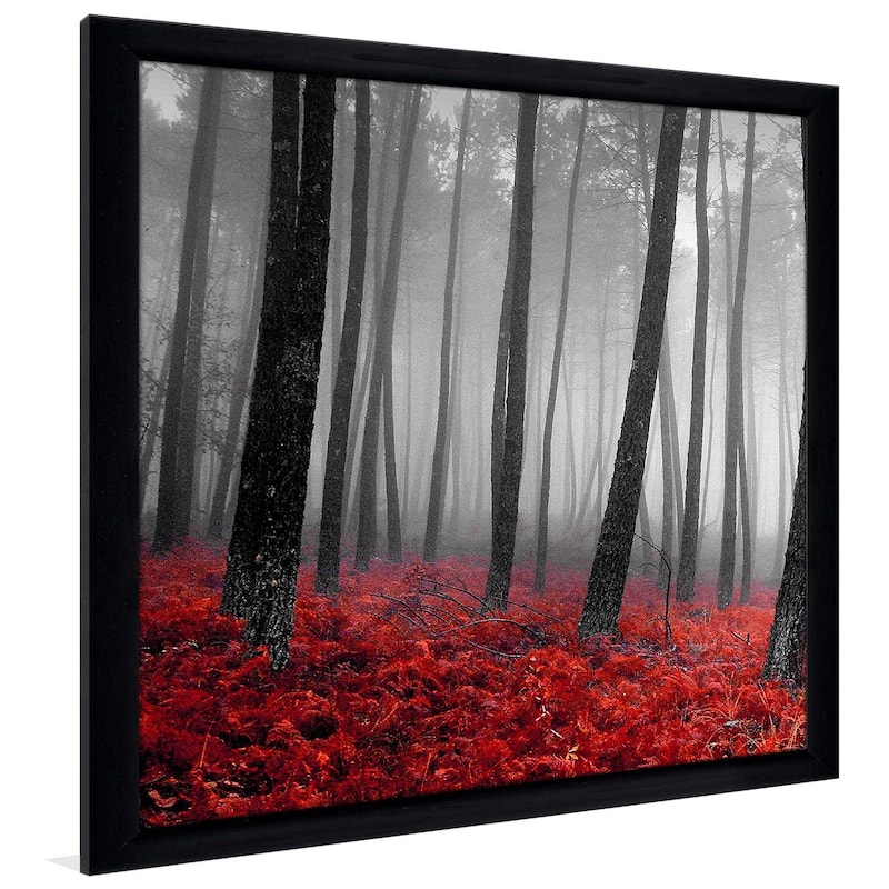 "47 Autumn Woods" by PhotoINC Studio I Print on Acrylic