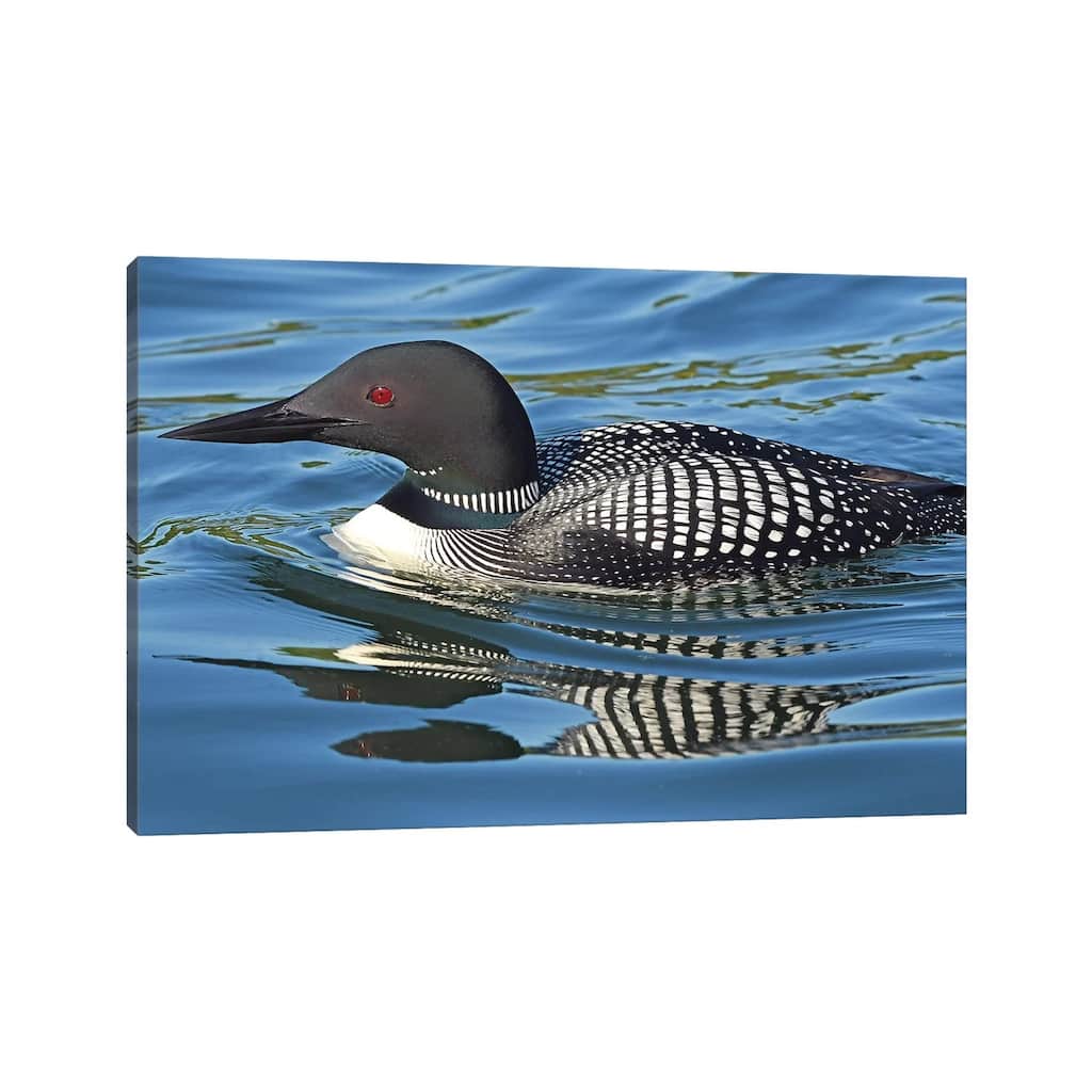 iCanvas "Loon Reflections" by Brian Wolf Canvas Print