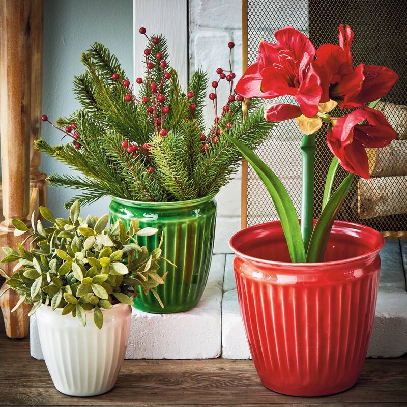 Merry Enamel Planter S/3