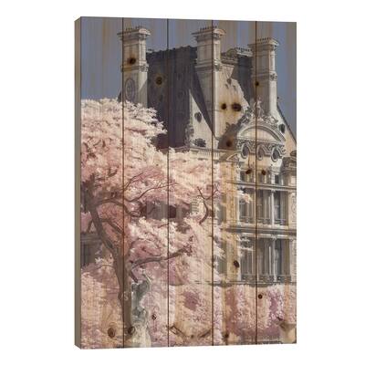 Seine Infrared Print On Wood by David Clapp - Multi-Color