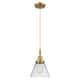 Option Brushed Brass / Clear Shade