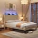 Option Beige Light