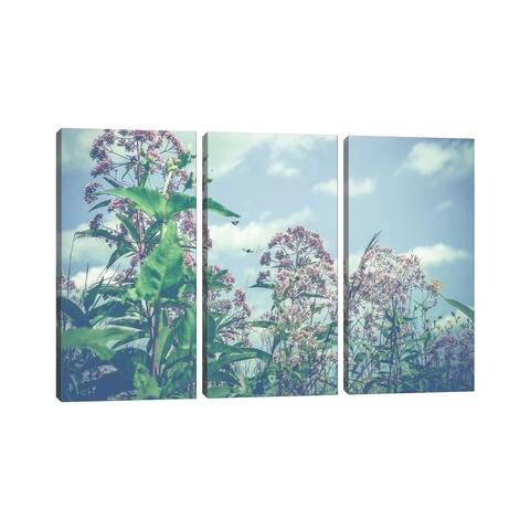 iCanvas "Wild And Free" by Olivia Joy StClaire 3-Piece Canvas Wall Art Set