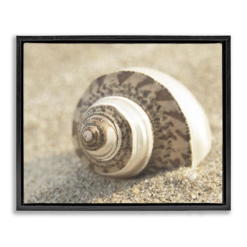Stupell Neutral Tone Seashell Framed Floater Canvas Wall Art Design By Dora Rotondella - 31 x 25 - Black