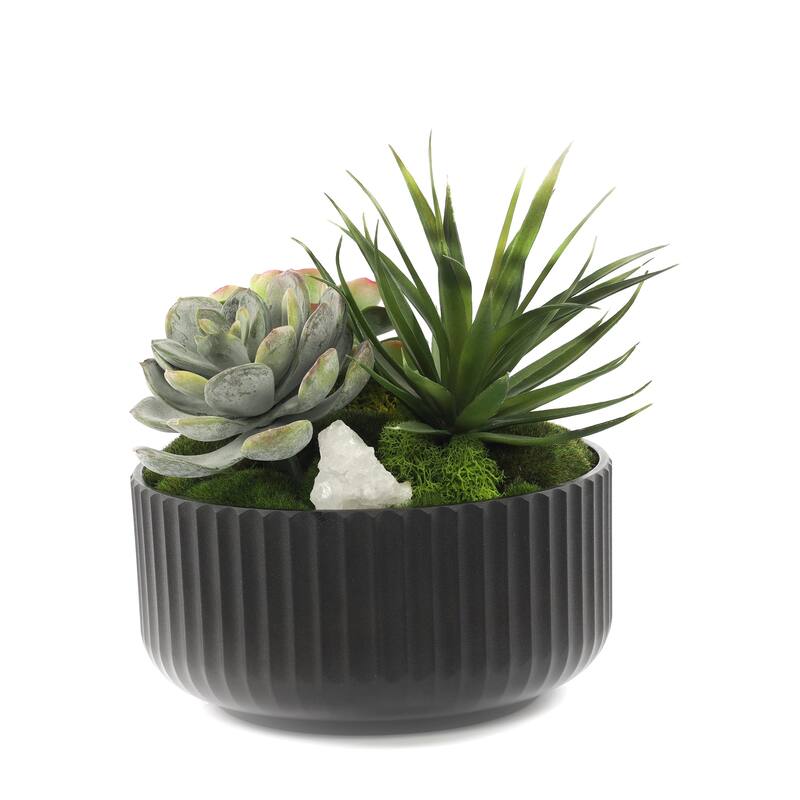 Faux Succulents & Moss Arrangement in Ribbed Black Pot - Green