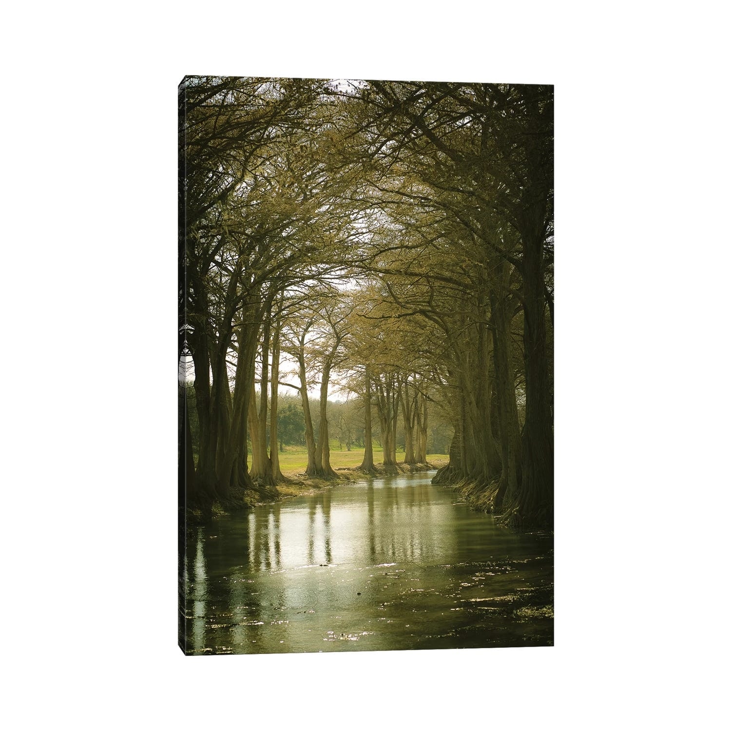 iCanvas "Texas Hill Country" by Ann Hudec Canvas Print