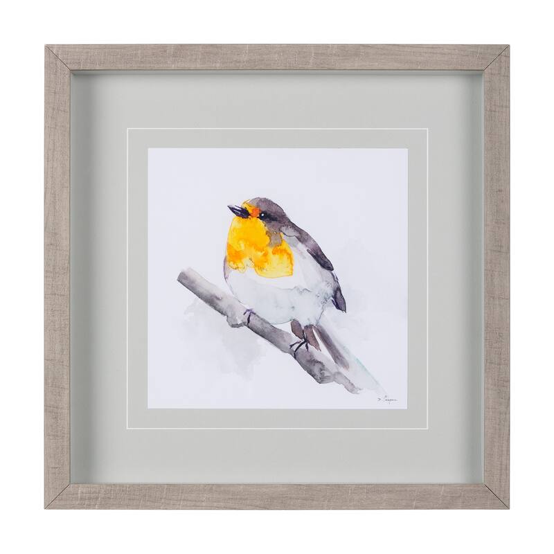 Robin I Framed Art Print