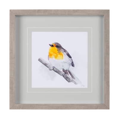 Robin I Framed Art Print