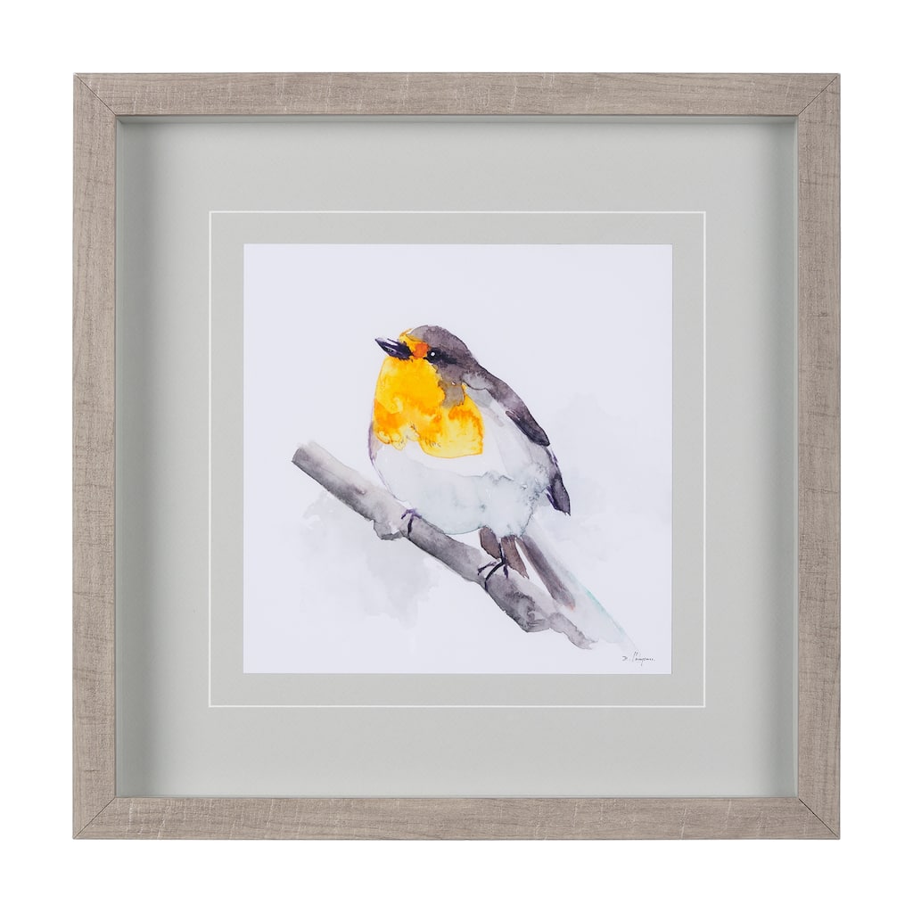 Robin I Framed Art Print