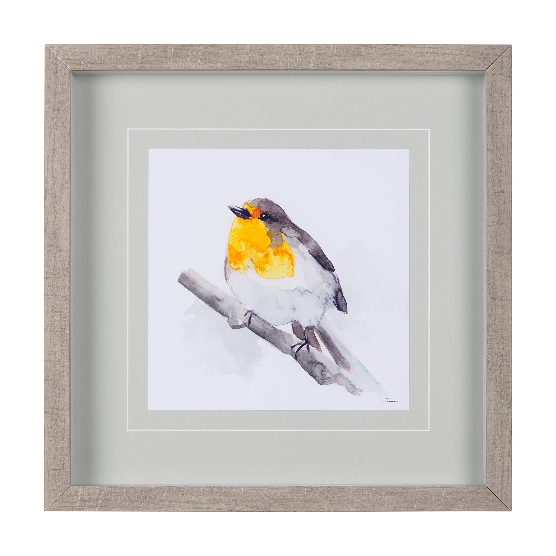 Mercana Robin I by Mercana Studio a Hand Embellished Textured Framed Art Print Matted under Glass