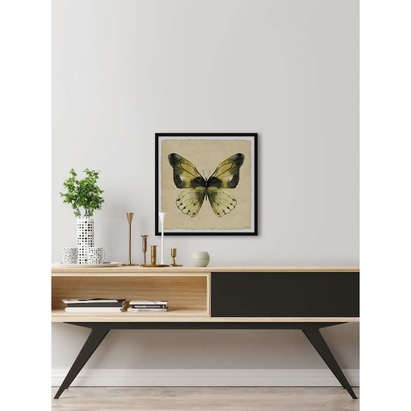 The Tropical Butterfly Framed Print