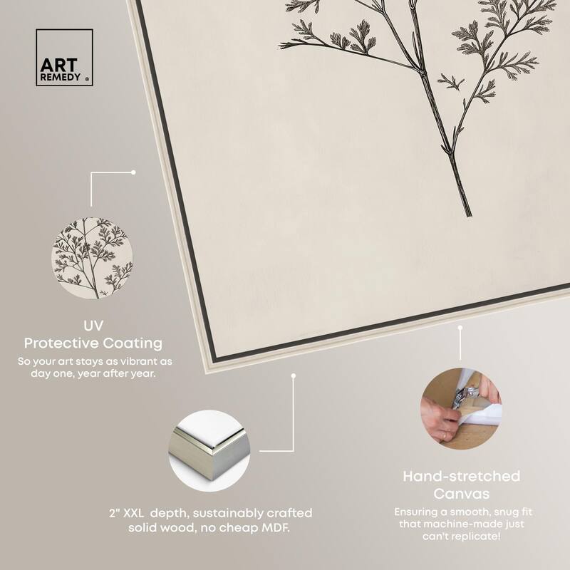 Aniseed Anatomy II Canvas Delicate Floral by Art Remedy