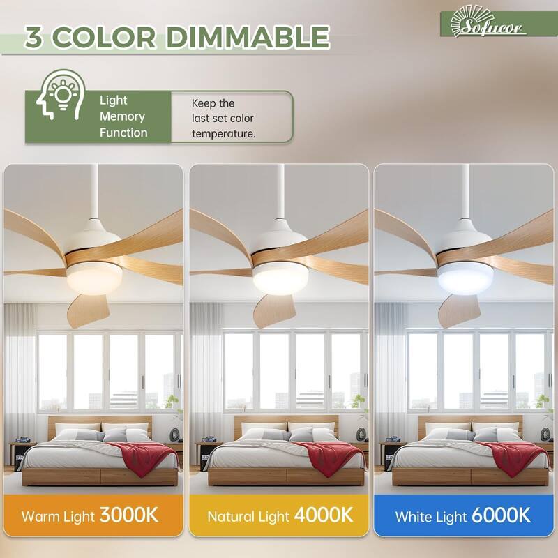 52 Inch Ceiling Fan with Remote & Lights Quiet DC Motor 5 Blade High CFM Modern Fan