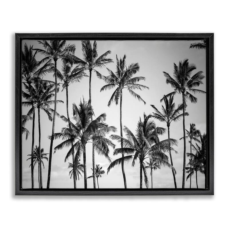 Stupell Palm Trees Skyline Black and White Photography Floater Frame